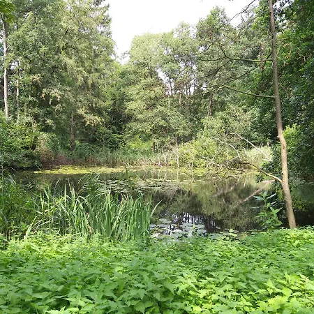 De Mookerplas Couette-café *